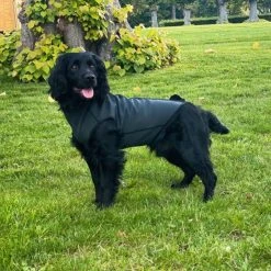 Siccaro Pro-tect Koiran Lämpöheijastava Liivi -Hurtta myymälä siccaro pro tect 1 2