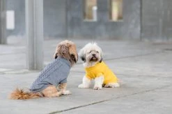 Trixie Kenton Pullover Koiran Villapaita, 33-40 Cm, Harmaa -Hurtta myymälä trixie kenton pullover gra 33 40 cm 4