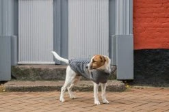 Trixie Kenton Pullover Koiran Villapaita, 33-40 Cm, Harmaa -Hurtta myymälä trixie kenton pullover gra 33 40 cm 5