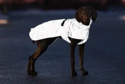 Trixie Lunas Koiran Heijastava Sadetakki, 25–33 Cm