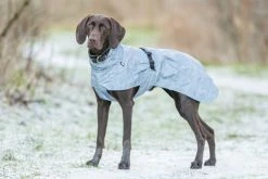 Trixie Lunas Koiran Heijastava Sadetakki, 25–33 Cm -Hurtta myymälä trixie lunas regntacke helreflex silverbla 25 33cm 4