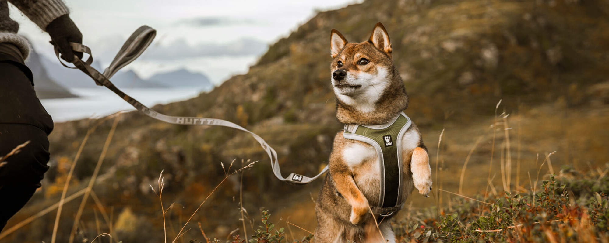 Edessä -Hurtta myymälä 001