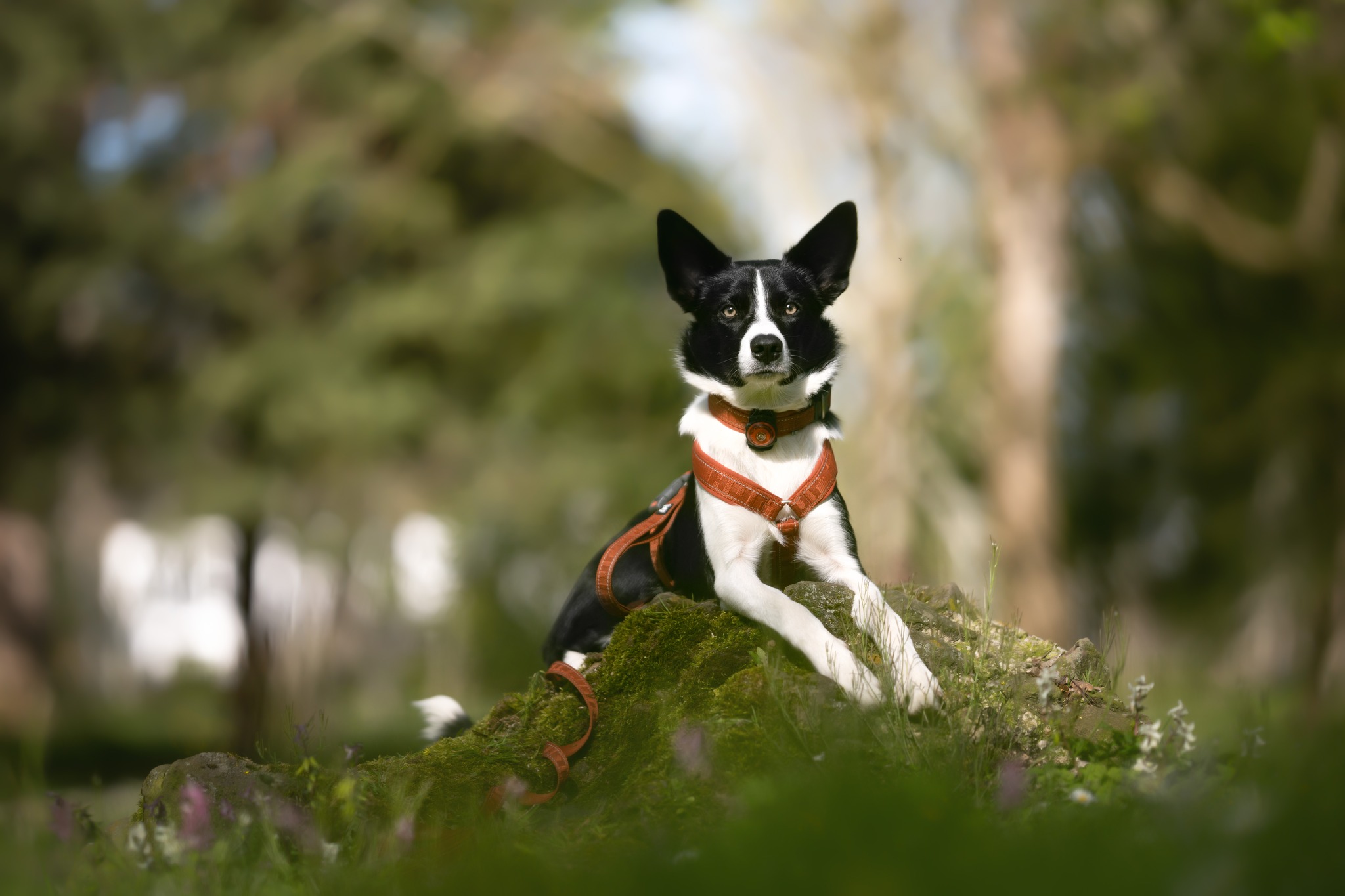 Edessä -Hurtta myymälä 01 1