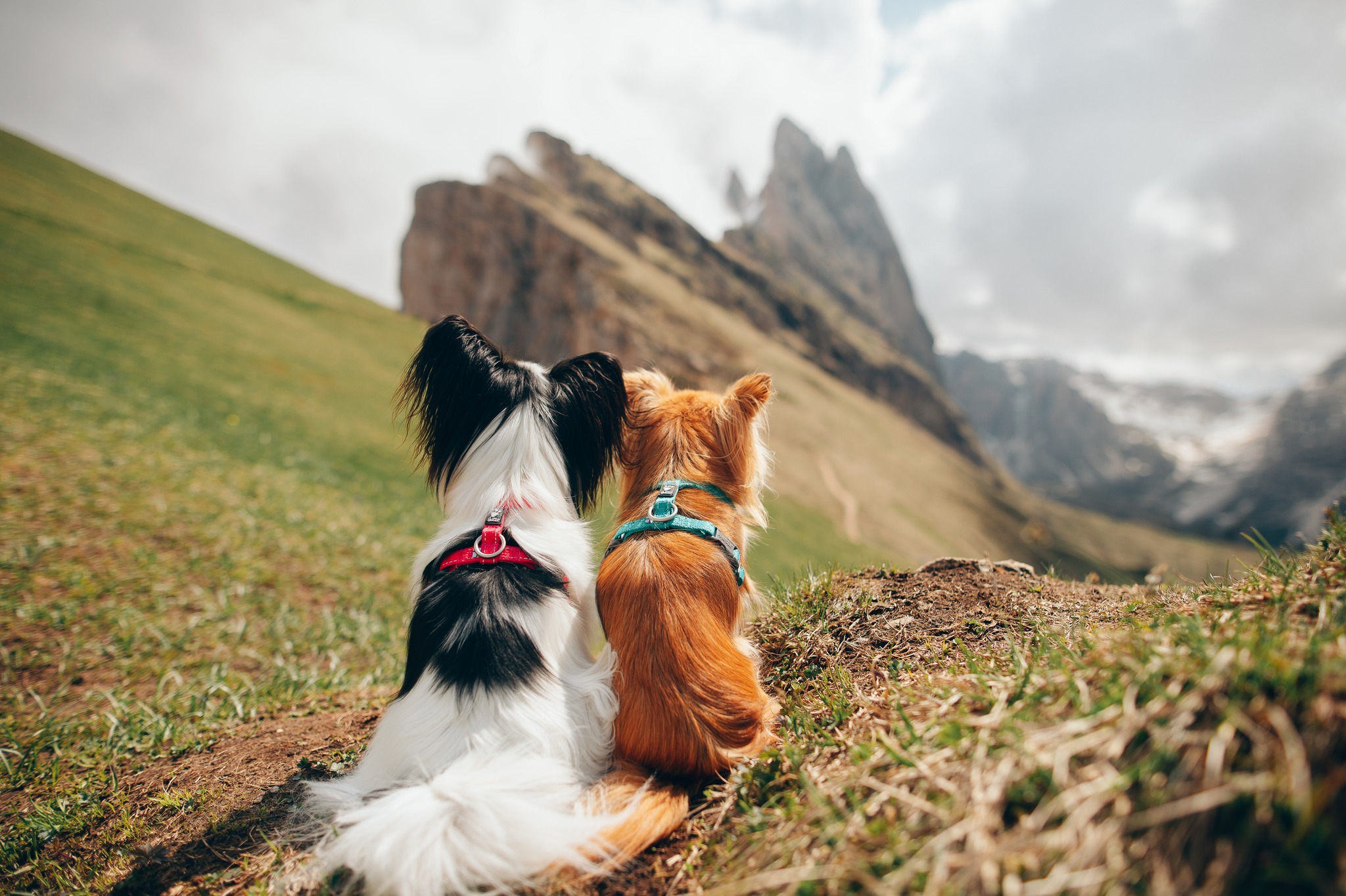 Edessä -Hurtta myymälä 1